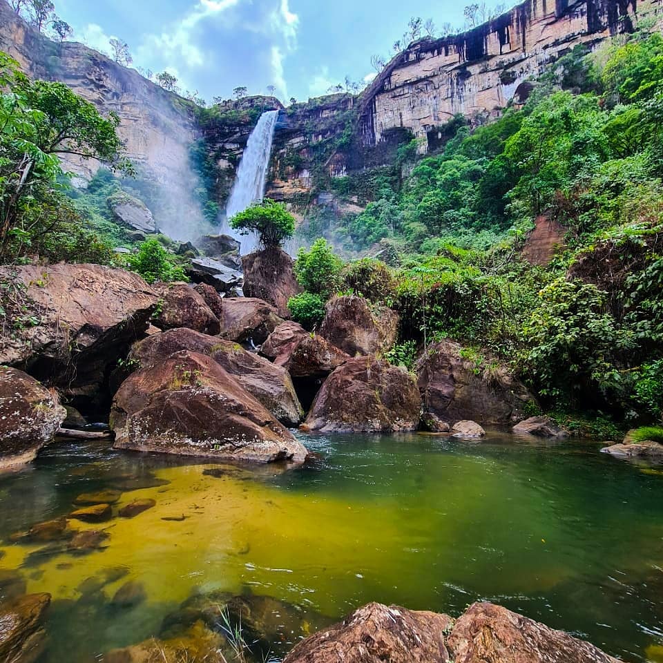 Mapa do Mato Instagram