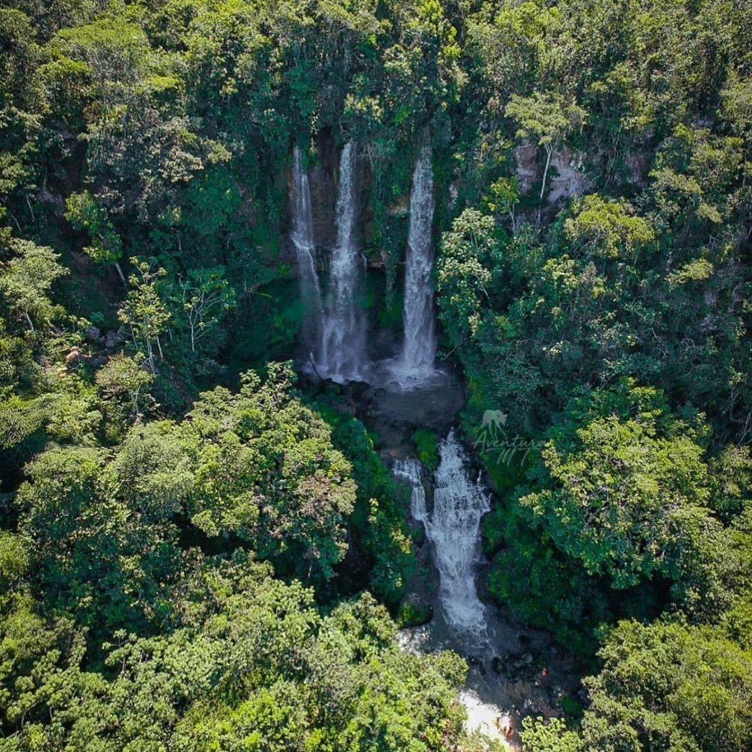 Mapa do Mato Instagram