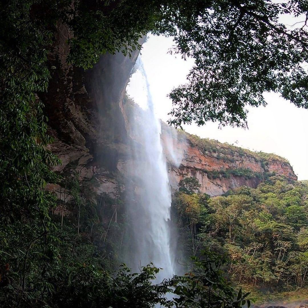 Mapa do Mato Instagram