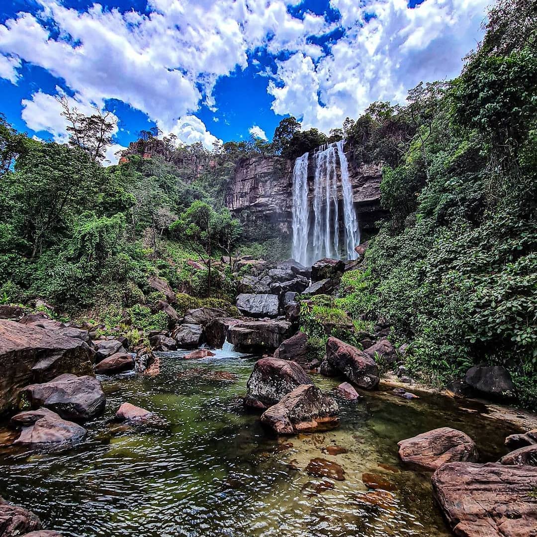 Mapa do Mato Instagram