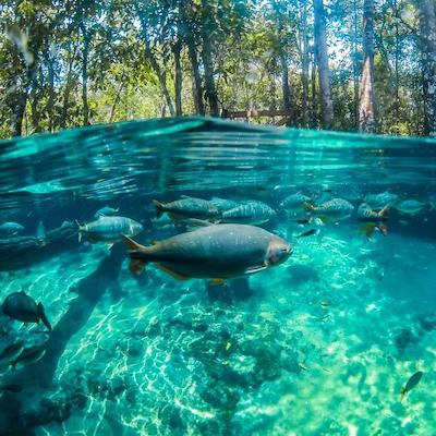 Nobres flutuacao lagoa azul