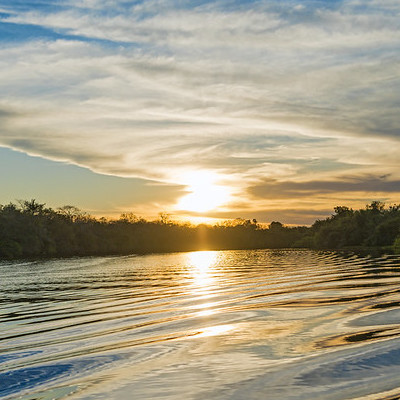 Pocone pantanal mato grosso