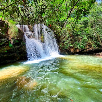 Rondonopolis Agronegocio Carima